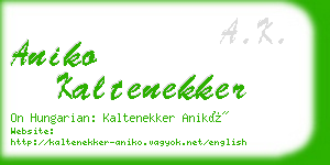 aniko kaltenekker business card